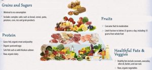 Copy of Dr Mercol's food pyramid for optimum health